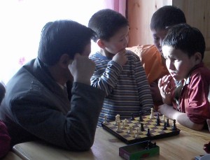 schaakprobleem